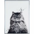 Empire Art Direct Nebelung Black & White Pet Cat Wall Art with Gunmetal Anodized Frame AAGS-JP1046-2418